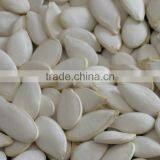 China Quality Supplier of Pumkin Seeds Shine Skin for Export Grade thumbnail-1