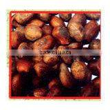 ALLANBLACKIA OIL thumbnail-3