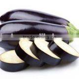 Stainless Steel Industrial Fruit Vegetable Processing Industrial Vegetable Cutter +8618637188608 thumbnail-2