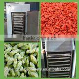 Commercial Drying Fruit Slice Machine With Heated Air