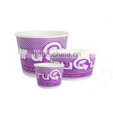 Eco-Friendly Gelato Ice Cream Cups with Great Prices 10oz