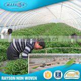 Manufacturer China Landscaping 100% Pp Spunbonded Nonwoven Fabric thumbnail-3