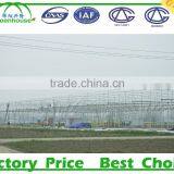 Commercial 200 Micron Greenhouse Film thumbnail-4