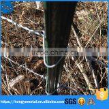 Cheap Galvanized Used Steel Fence T Post For Sale(Factory) thumbnail-6