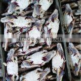 Frozen Blue Swimming Crab Whole round