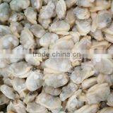 IQF BABY CLAM MEAT IN BULK thumbnail-2