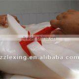 Giant Squid Fillet thumbnail-2