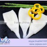 Frozen Squid Tube U5 U7 U10 U20 thumbnail-3