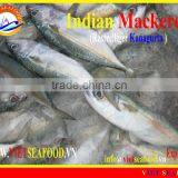 FROZEN INDIAN MACKEREL thumbnail-3