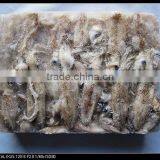 Fresh Baby Squid thumbnail-1