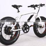 2017 New Design 20 Inch 36V 350W Non-foldable Electric Fat Bike thumbnail-6