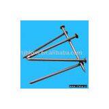 Common Nail thumbnail-1