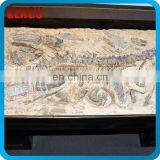 Rocks Dinosaur Fossils for Amusement Park