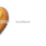 Stainless Steel Puff Filling Machine Cup Cake Maker Cake Injection Machine From Factory thumbnail-7