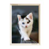 Simulation Marble Elevator Advertising Frame Poster Frame Display Frame Picture Frame Wall Mirror Frame thumbnail-1