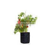 OEM Plant Garden Felt Fabric Grow Bags thumbnail-1