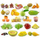 Factory Supply CE Approved Potato Washing Grading Machine Carrot Washing Machine thumbnail-3