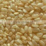 Organic Brown Rice thumbnail-1
