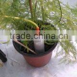 DS100 Digital Analog Output Soil Moisture Electronics Sensor thumbnail-5