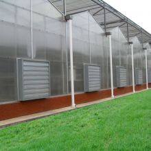 Economical Commercial Polycarbonate Sheet Greenhouse