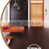 High Quality Home Elevator Lift HOME004 thumbnail-1