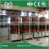 The Average Daily Output 300L Brewed Beer Equipment thumbnail-1