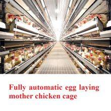 Automatic Chicken Cage System