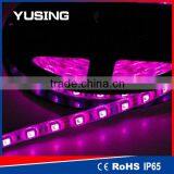 DC 12V/24V 60 LEDs/Meter 5050 SMD Waterproof RGB LED Strip IP68