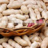 Big High Quality Peanut thumbnail-1