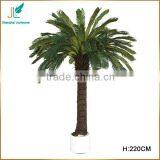Customized Evergreen Artificial Cycas Revoluta Tree for Sale in Stock thumbnail-1