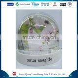 Wedding Photo Water Globe