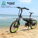 Seagull, light weight electric bike kit