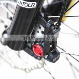 Wind the Same Feeling Electric Chopper Bike Use Good 36v 10ah Battery Pack thumbnail-4