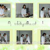 2015 Hot-selling Chinese Refine Oolong Tea in Bulk Packing thumbnail-6