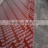 18mm Concrete Formwork Plywood thumbnail-4