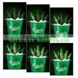 Eye-catching Multi-color Animated Light Box,only 8mm