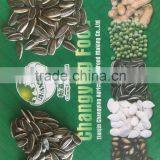 Sunflower Seed thumbnail-1
