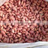 2014 Peanut Kernels, Luhua / Haihua 24/28,28/32,34/38 thumbnail-1