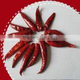 Paprika Pods thumbnail-1