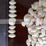 Export Shine Skin Pumpkin Seeds 2015 New Crop thumbnail-2