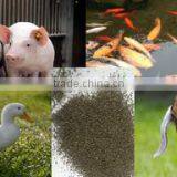 Animals Feed Supplement Kelp Meal thumbnail-5