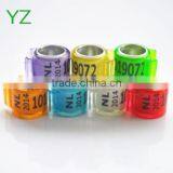 2015 Newest Dutch Pigeon Ring For Sale By YZ Factory EXW Price thumbnail-1