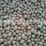 China Supplier for Hydro Expanded Clay Pebbles With High Quality ,best Benifit thumbnail-3