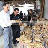 Industrial Fish Drying Machine / Dried Fish Machine thumbnail-3