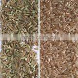 China Best Mini Rice Color Sorter 4 T/h Small Rice Color Selector thumbnail-4
