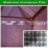 Agricultural Anti Aging uv Protection Greenhouse Plastic Film for Mushroom Growing thumbnail-1