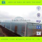 Multi-Span Seeding Greenhouse in Winter thumbnail-2