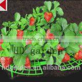 Outdoor Garden Useful Removable Plastic Strawberry Planter Support thumbnail-4