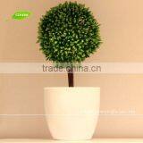 GP003-1GNW Mini Bonsai Flower Plants With Ornamental Flower Pot for Office Decoration and Hotel Room Accessories thumbnail-1