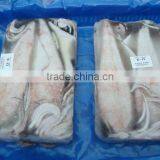 FRESH Frozen Squid Whole Loligo thumbnail-1